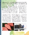 外食図鑑　2019 SPRING VOLUME03